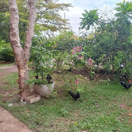 Chacara Pousada Sagui Куаба Екстериор снимка